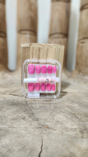Press On Nail Kit