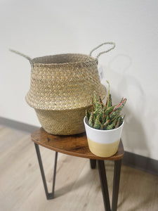 12” Seagrass Basket Planter