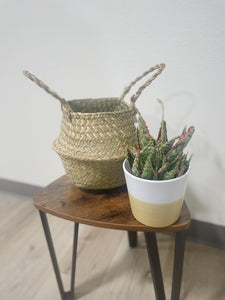 8.5” Seagrass Basket Planter